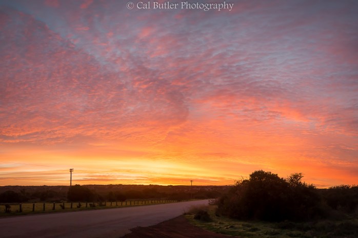 West Coast Sunrise 1
